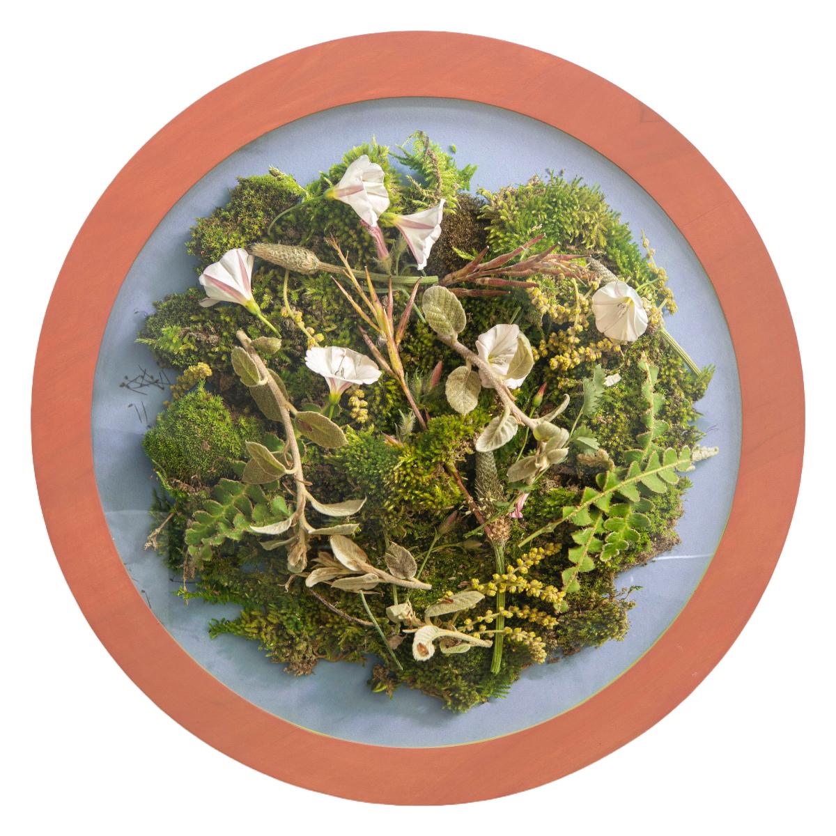 Kalee Appleton (American) Color Photograph - A Study of the Roadside(1/3), Contemporary Floral Photography, Round Frame