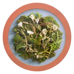 A Study of the Roadside(1/3), Contemporary Floral Photography, Round Frame
