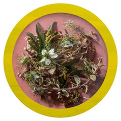 A Study of the Roman Coriander 1/3, Contemporary Floral Photography, Round Frame