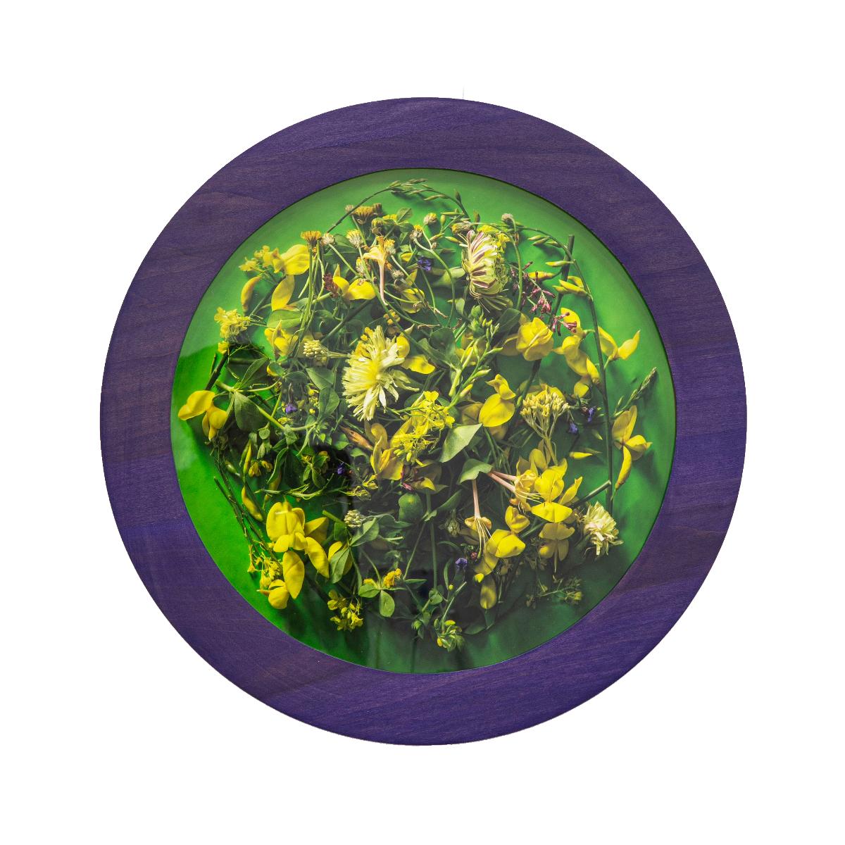 Kalee Appleton (American) Color Photograph - A Study of Yellow(1/3), Contemporary Floral Photography, Round Frame