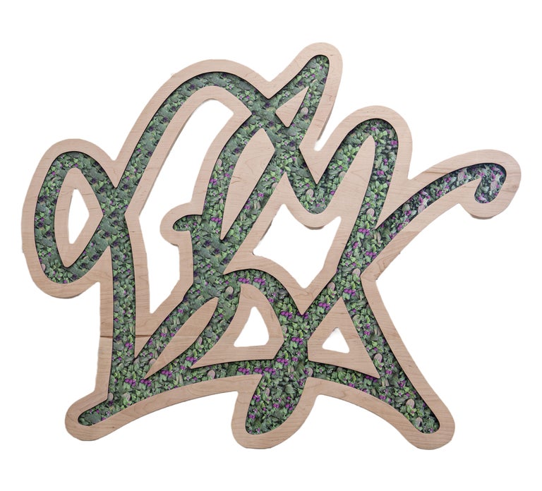 Kalee Appleton (American) Pom Poms, Contemporary Digital, Abstract