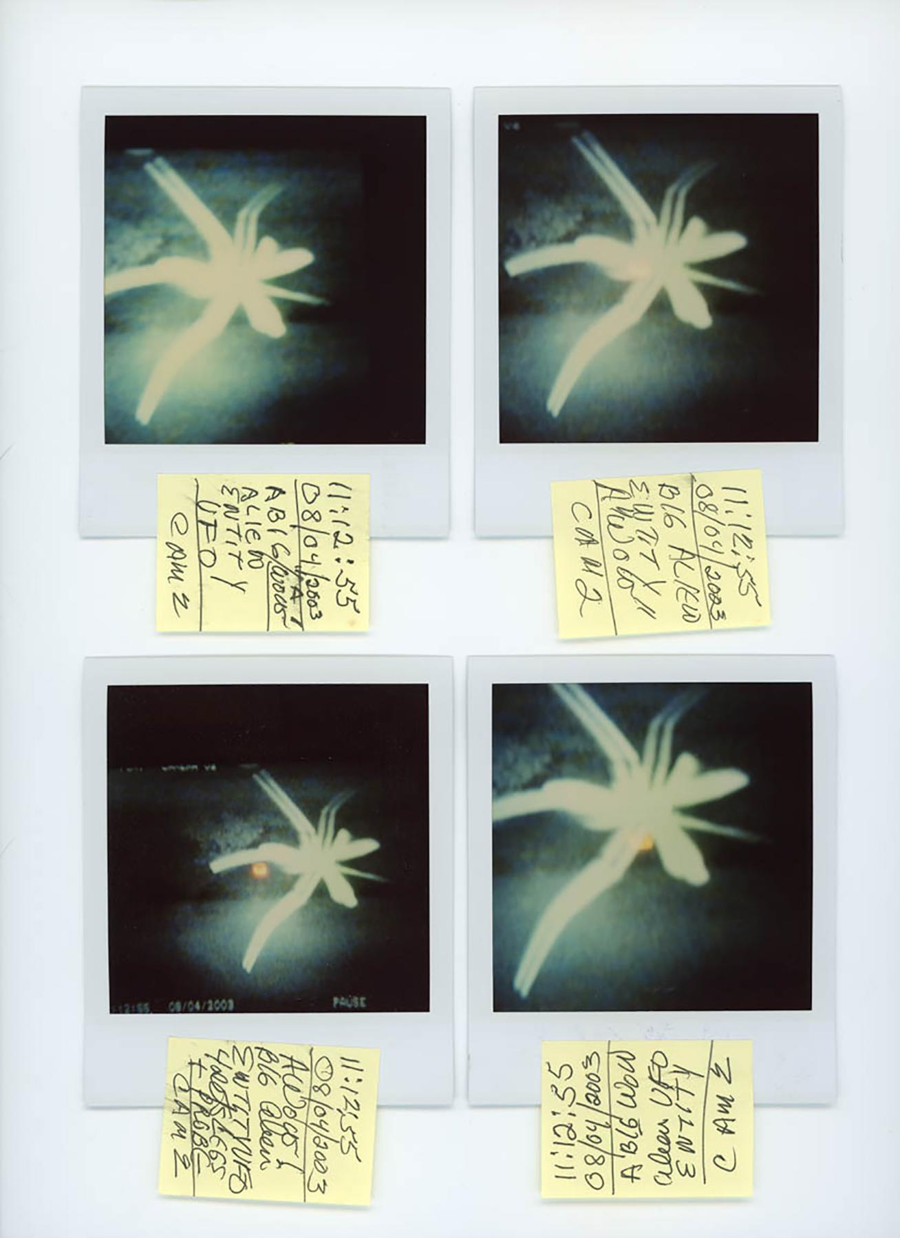 Un grande UFO, entità aliena, Pacific Palisades, CA, 4 agosto - Photograph di Kali