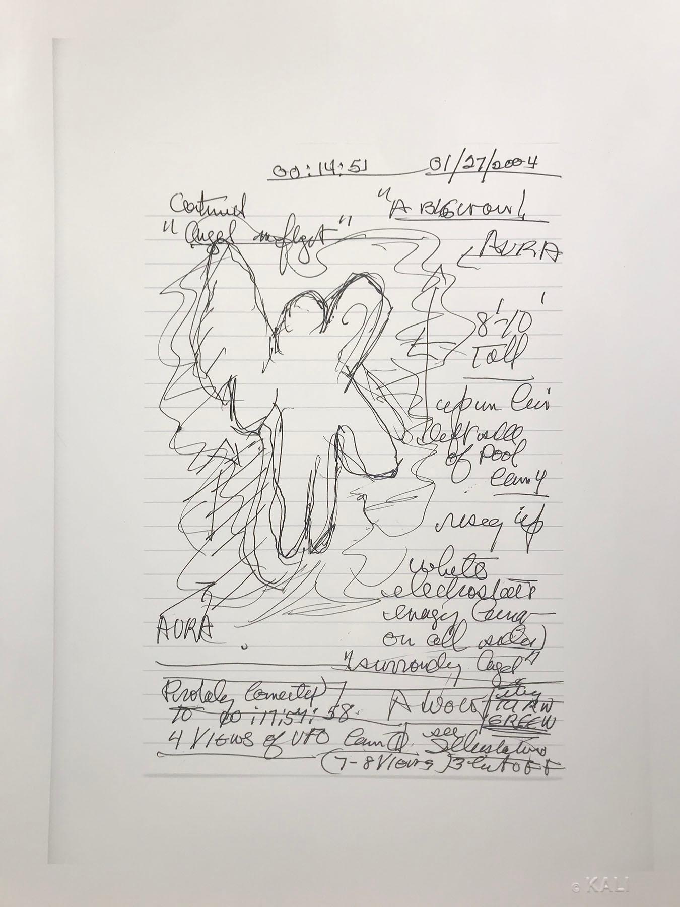 Un carnet de notes UFO « Angel Flying », 27 janvier - Photograph de Kali