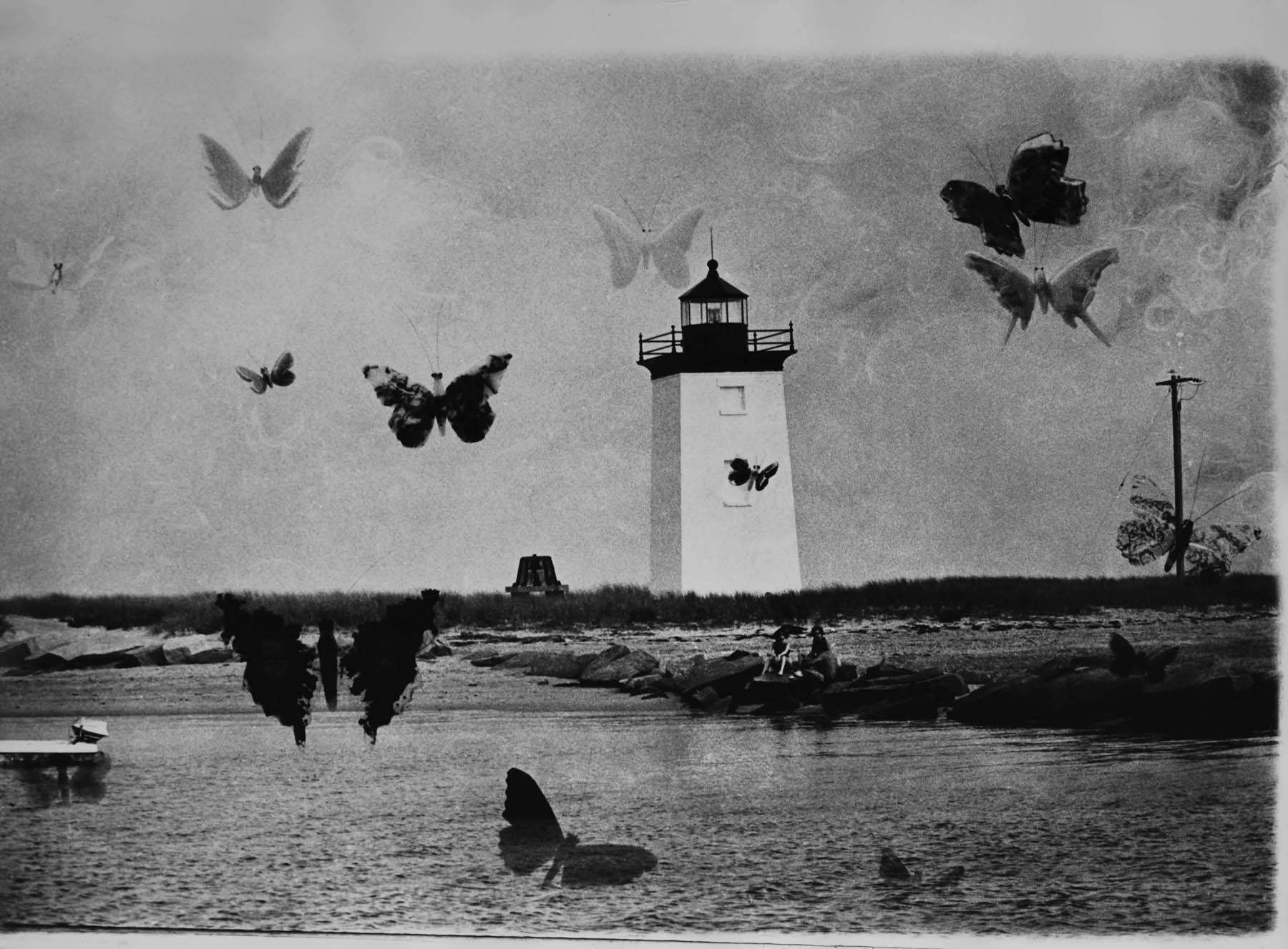 Maine Lighthouse with Butterflies, Maine - Photograph by Kali