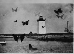 Maine Lighthouse with Butterflies, Maine