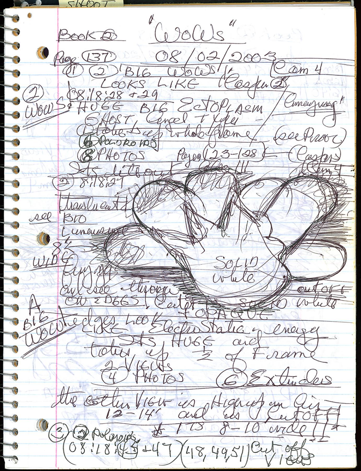 "WOWs", UFO Notebook, August 2 - Photograph by Kali