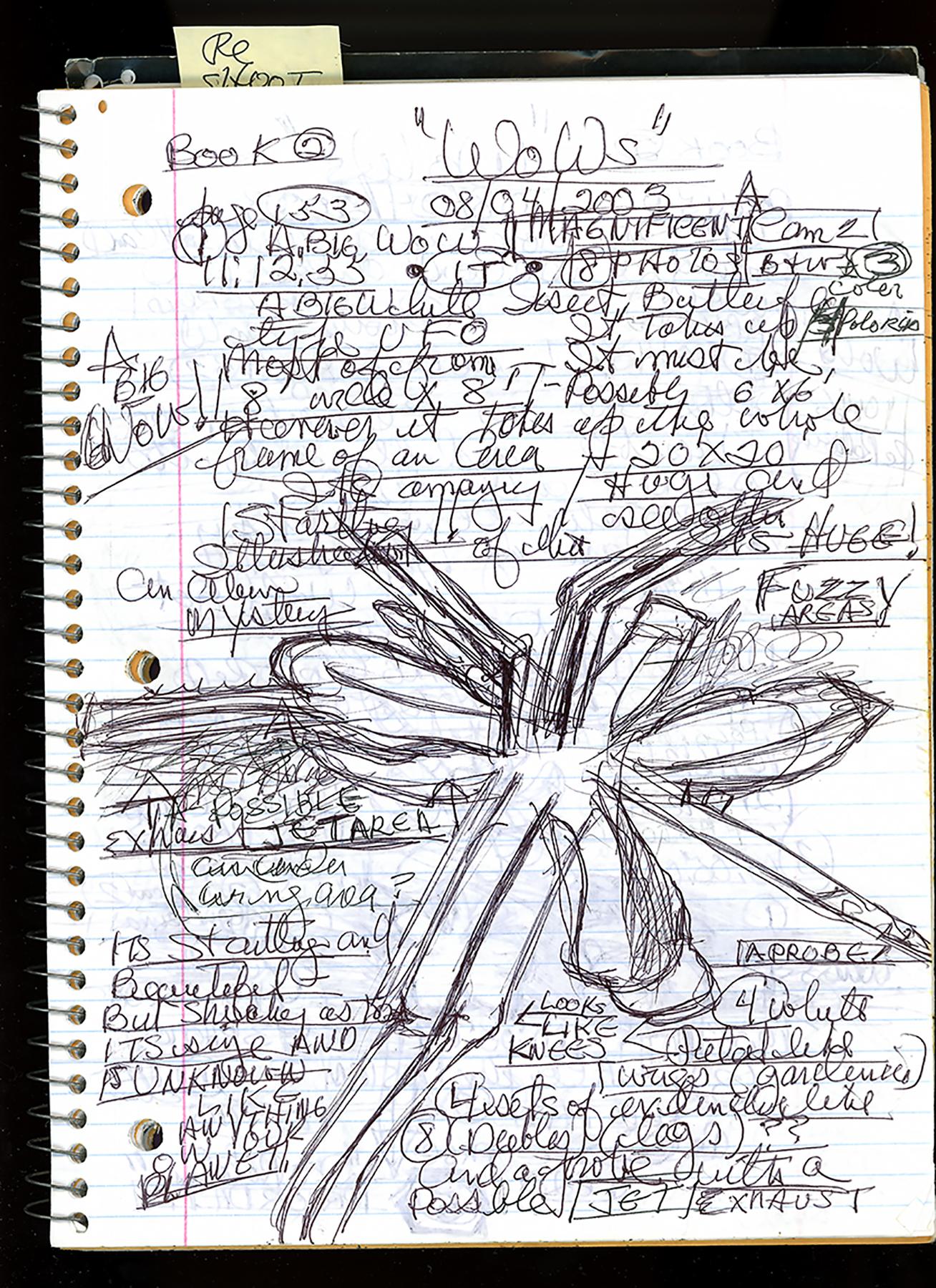 "WoWs", UFO Notebook, Pacific Palisades, CA, August 4 - Photograph by Kali