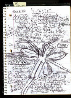 "WoWs", UFO Notebook, Pacific Palisades, CA, August 4