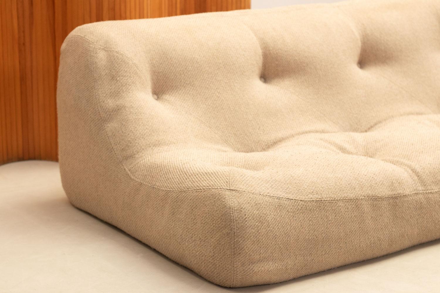French Kali Sofa by Michel Ducaroy for Ligne Roset, 1970's