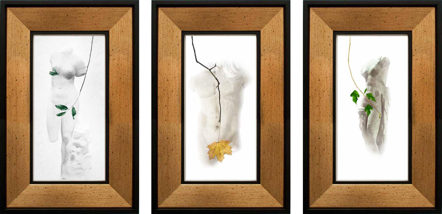 Serie 'Leaf' (Blatt) (Braun), Nude Photograph, von Kamil Fırat