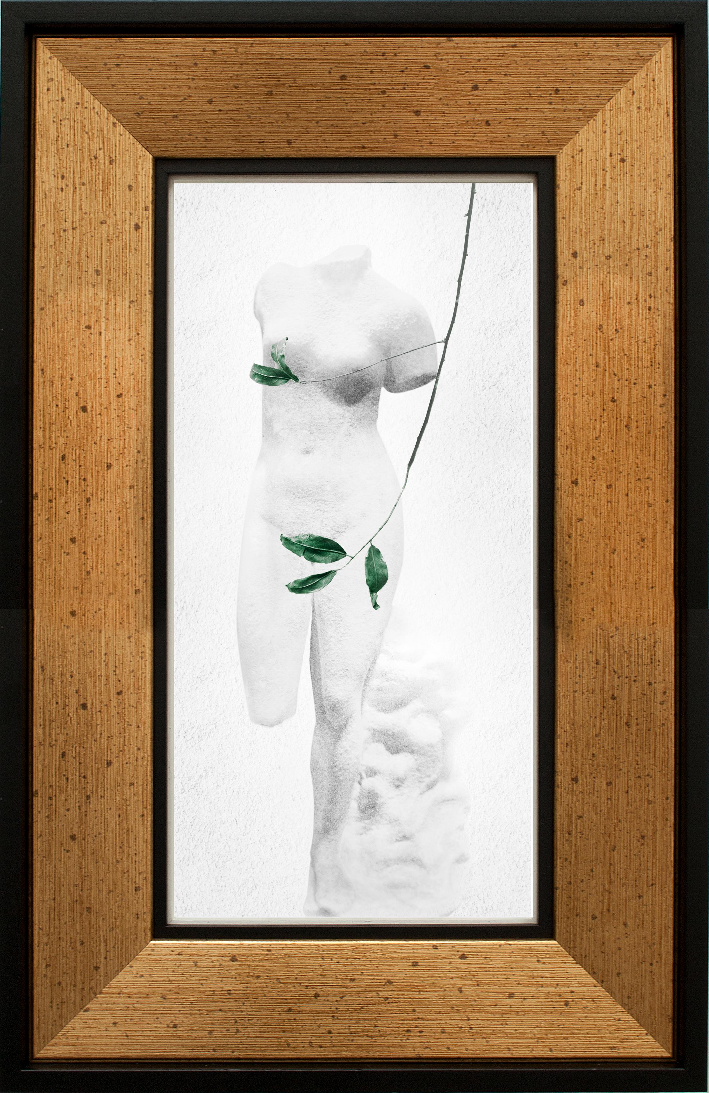 Kamil Fırat Nude Photograph - 'Leaf' Series