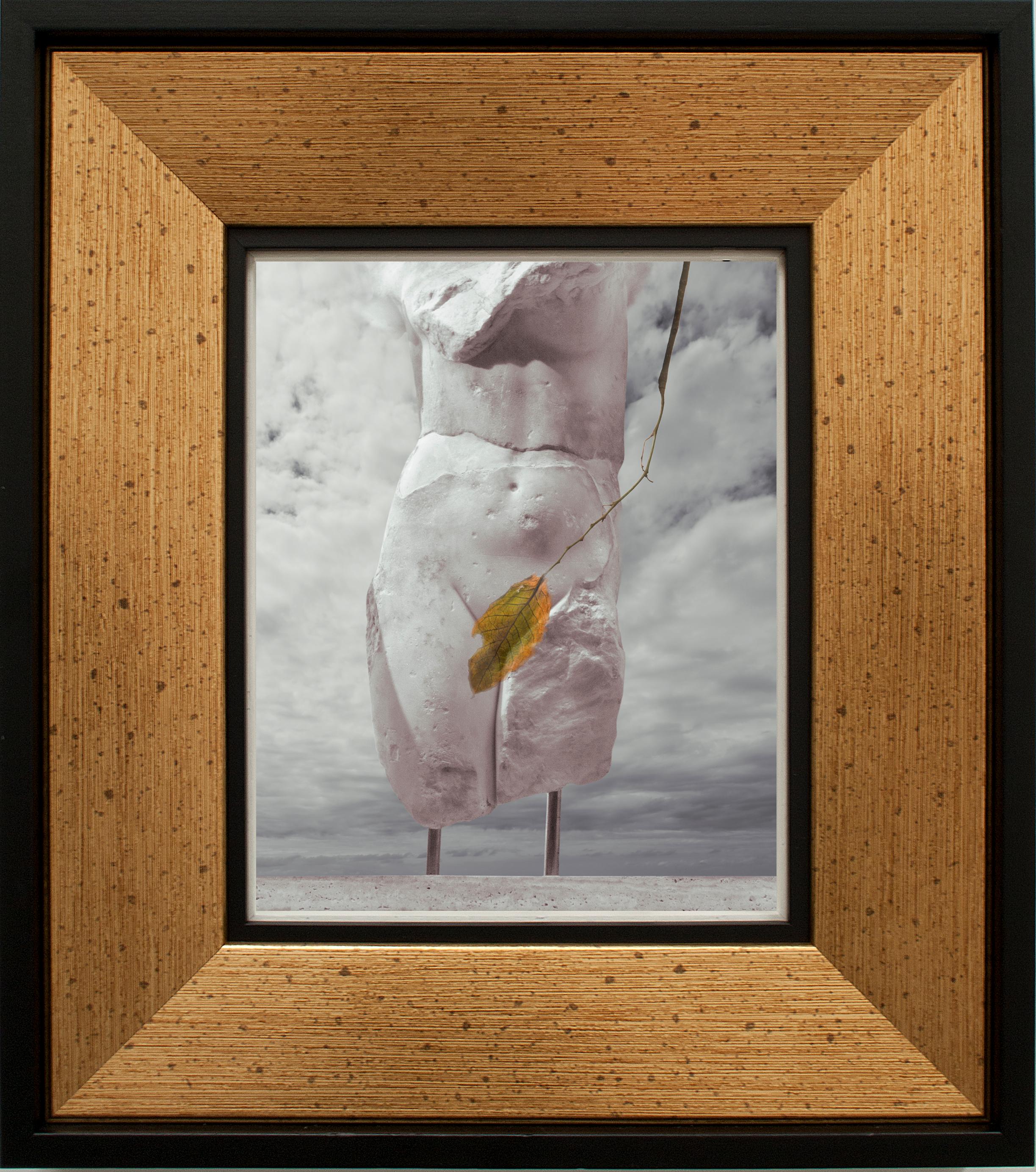 Kamil Fırat Figurative Photograph - 'Leaf' Serisi