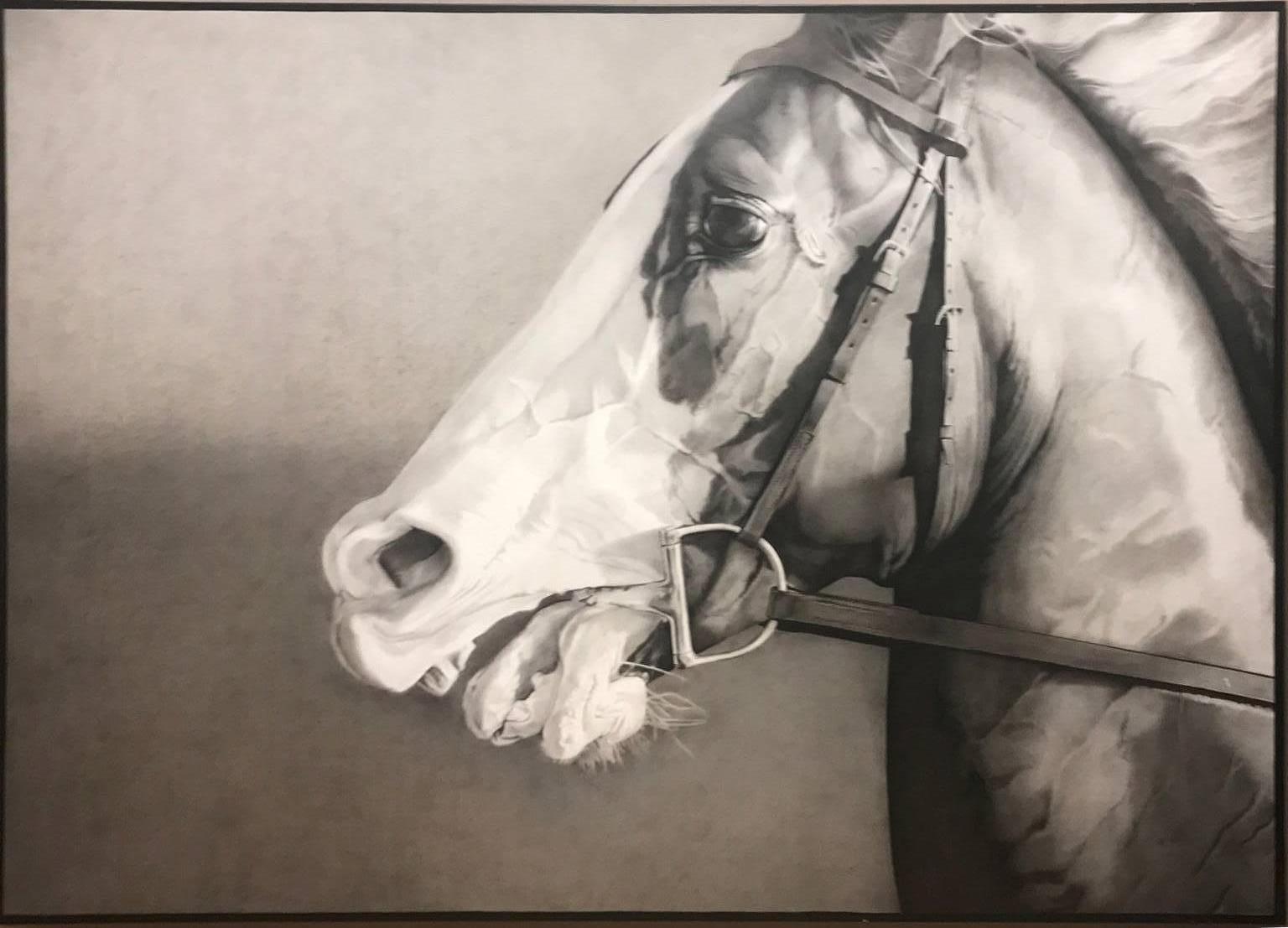 KAMU Animal Painting - HORSE