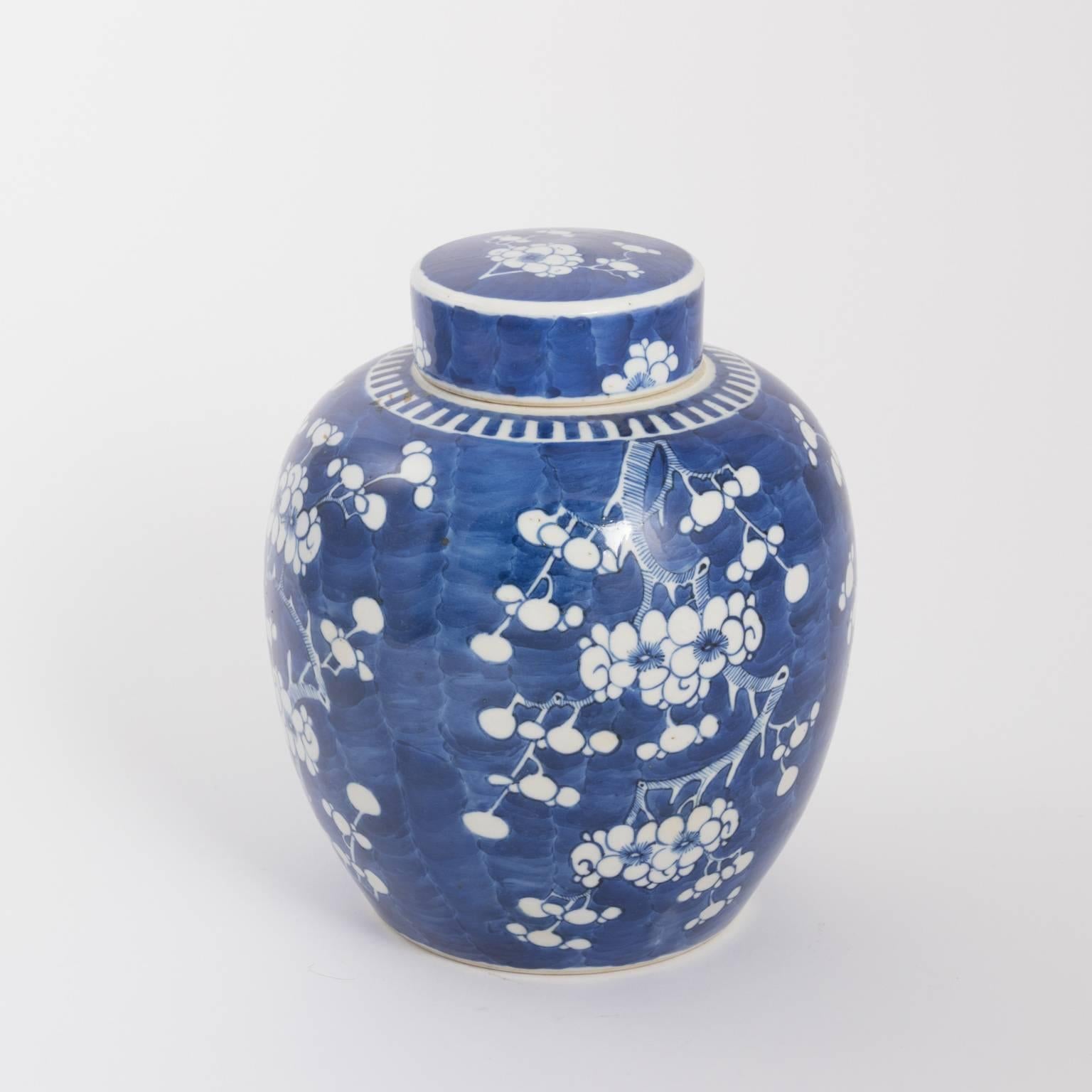 19th Century Kangxi Blue White Prunus Blossom Style Large Ginger Jar, circa 1880