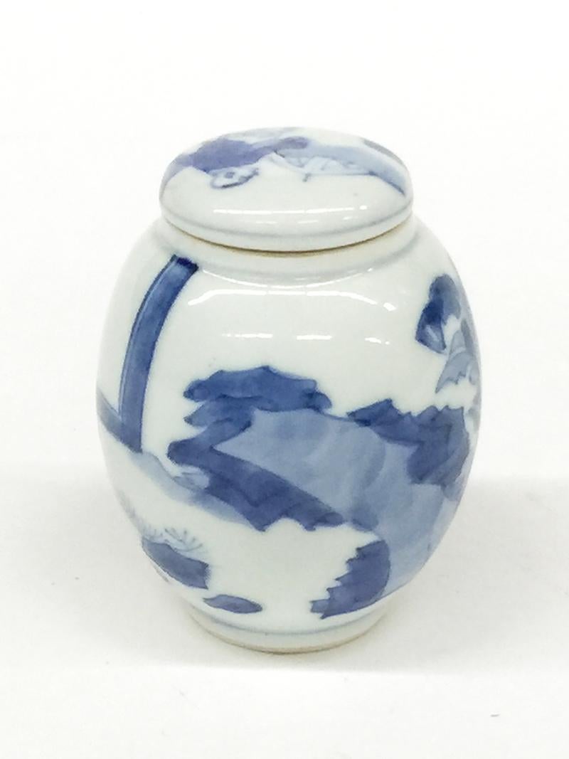 Kangxi, Chinese Porcelain Tea caddy and cover 2