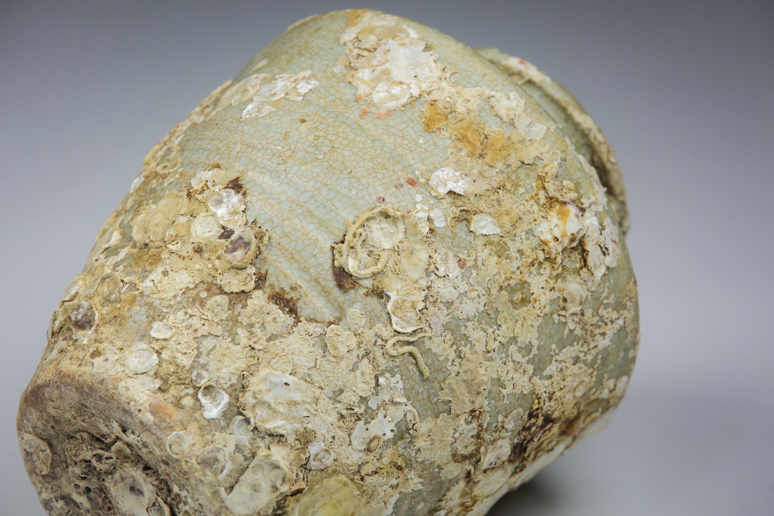 Kangxi Period Crackle Glazed Baluster Vase Shipwrecked Treasure 4