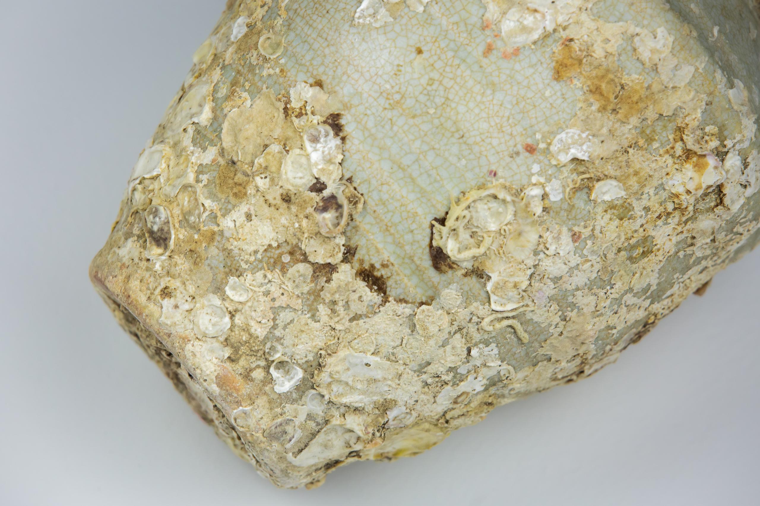 Kangxi Period Crackle Glazed Baluster Vase Shipwrecked Treasure 5