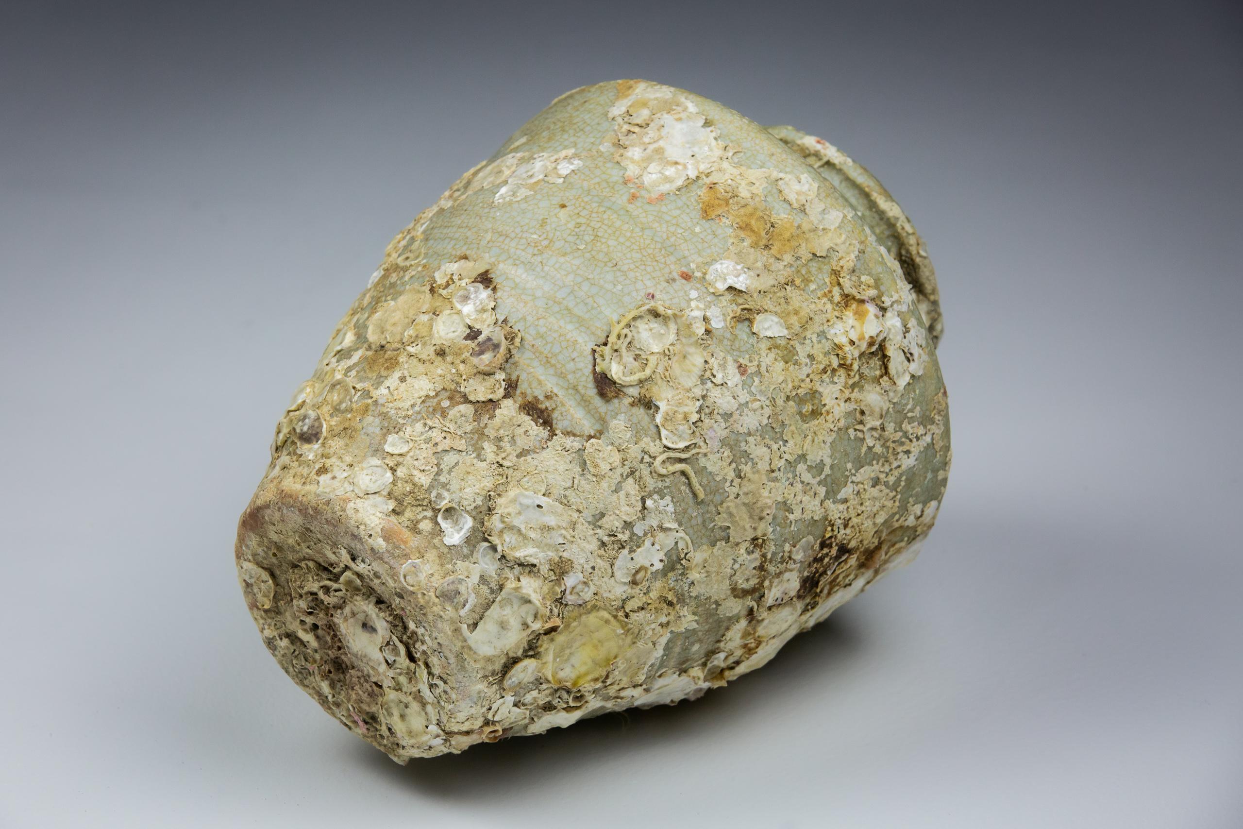 Kangxi Period Crackle Glazed Baluster Vase Shipwrecked Treasure 3