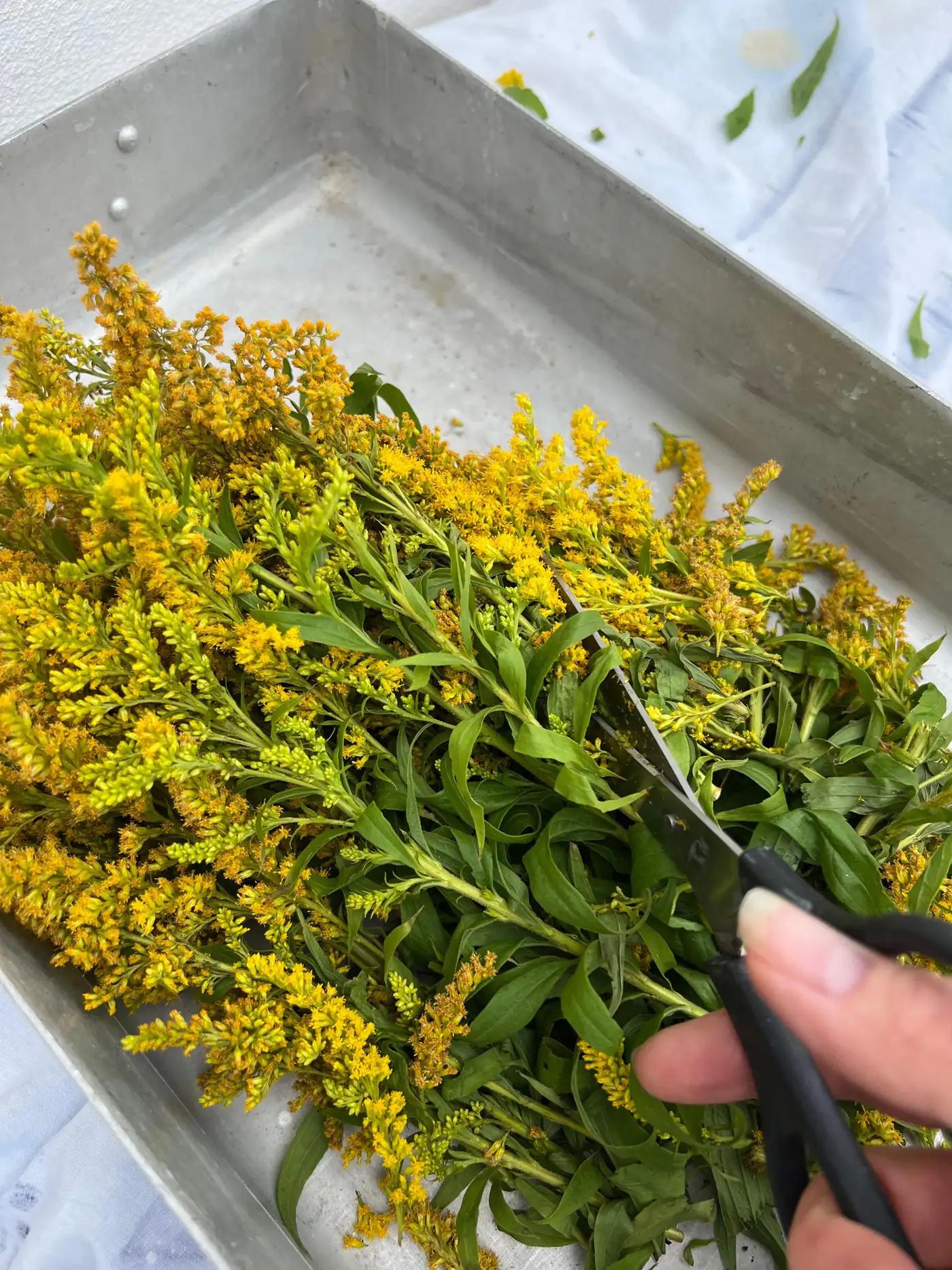 Cuscino in lana merino Kantha tessuto a mano a tintura naturale giallo indaco & verde in vendita 1
