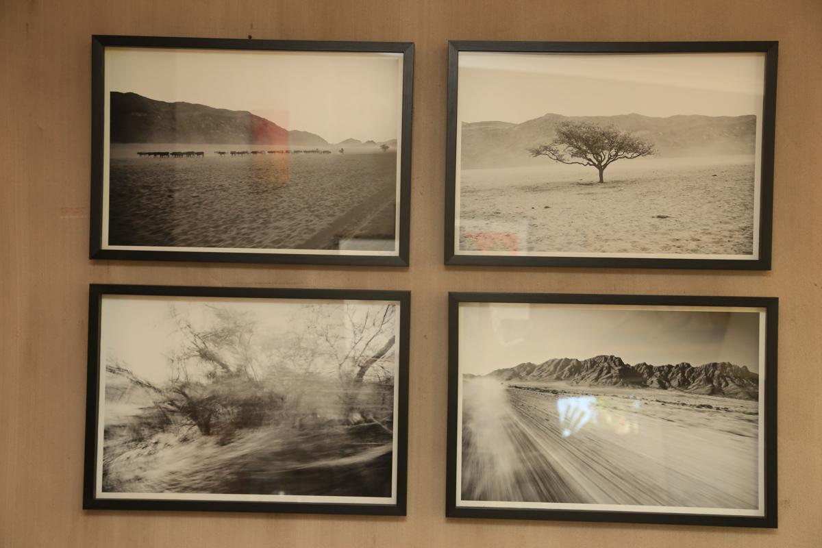 Kaokoland Photographs Marienfluss Cattle In New Condition For Sale In Cape Town, Western Cape