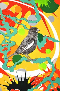 A la Vista del Sol (colorín alondra)