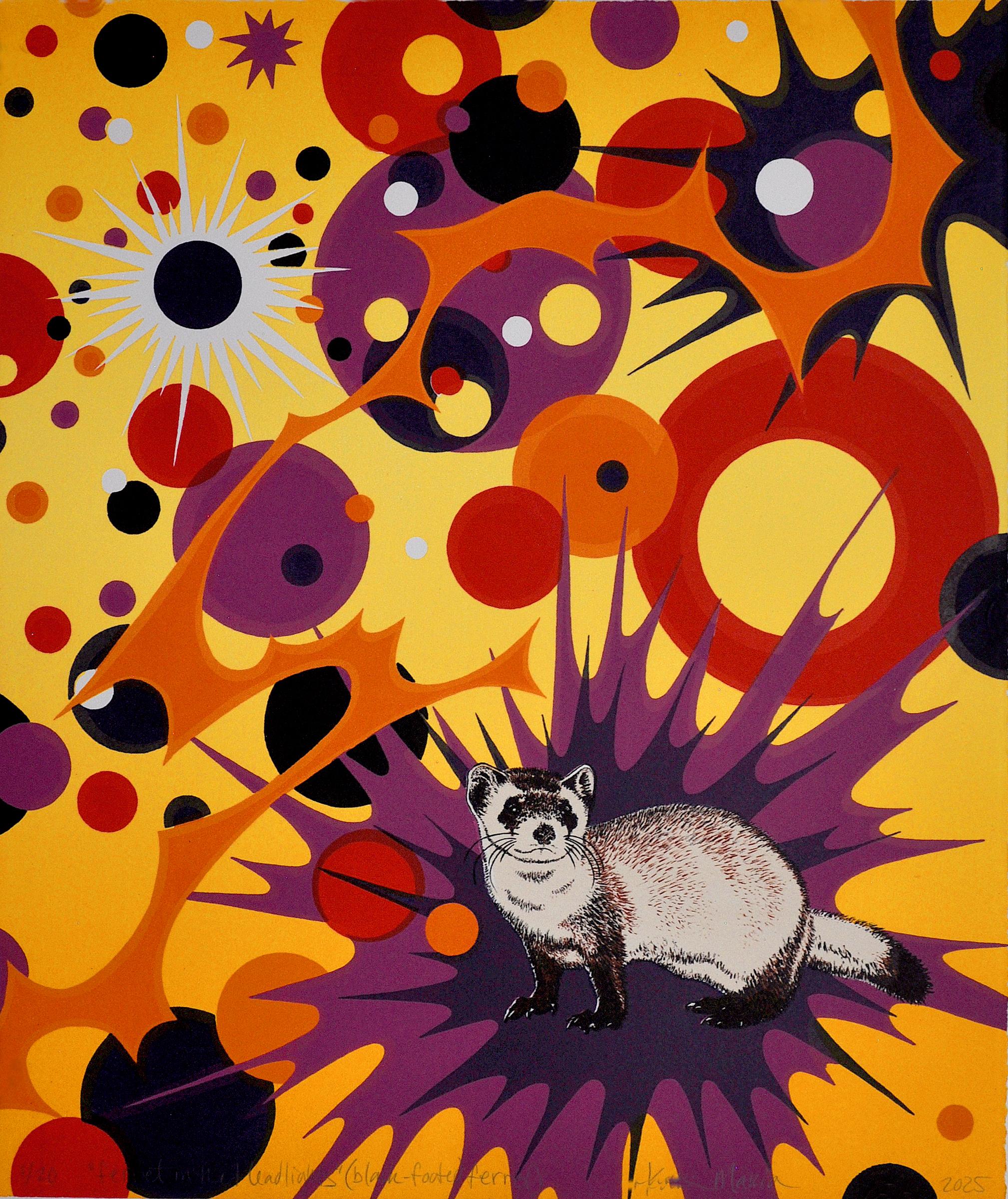 Kara Maria Print - "Ferret in the Headlights (black-footed ferret)"