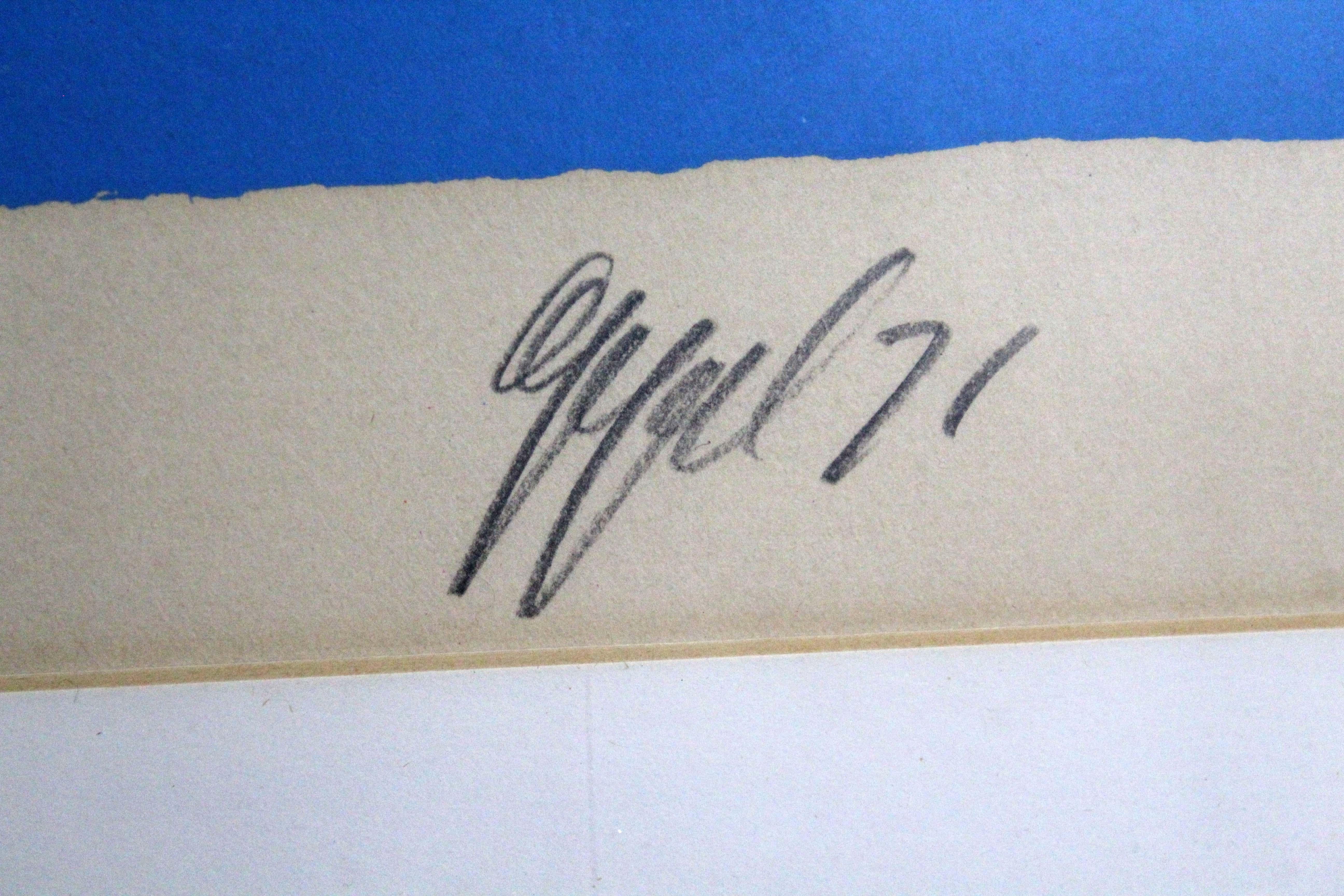 Karel Appel Horse Animal Figure Signed Modern Lithograph 1971 Framed 63/100 For Sale 4