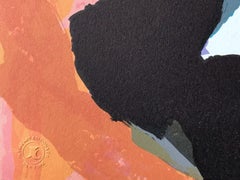 MULTI PERSONAGGIO Litografia firmata, ritratto astratto a collage, artista CoBrA