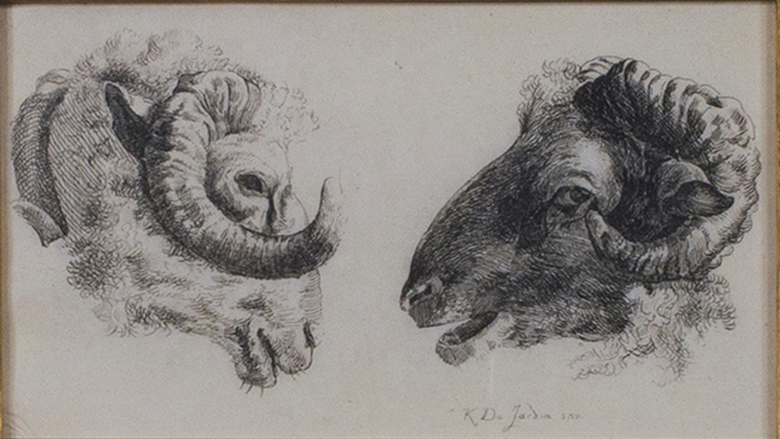 Karel Dujardin Animal Print - "Two Rams Facing Each Other, " Original Etching signed by Karel DuJardin