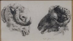 Antique "Two Rams Facing Each Other, " Original Etching signed by Karel DuJardin