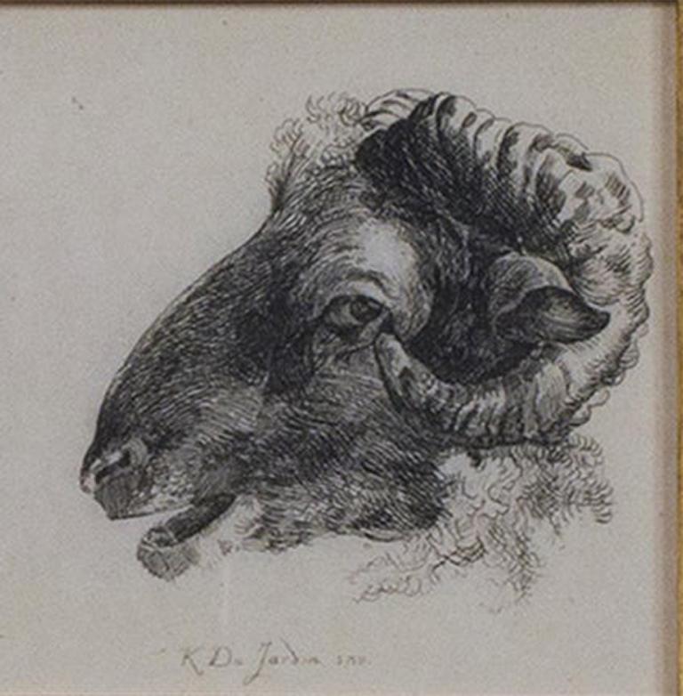 aguafuerte del siglo xvii grabado animal boceto carnero oveja blanco y negro firmado - Print de Karel Dujardin