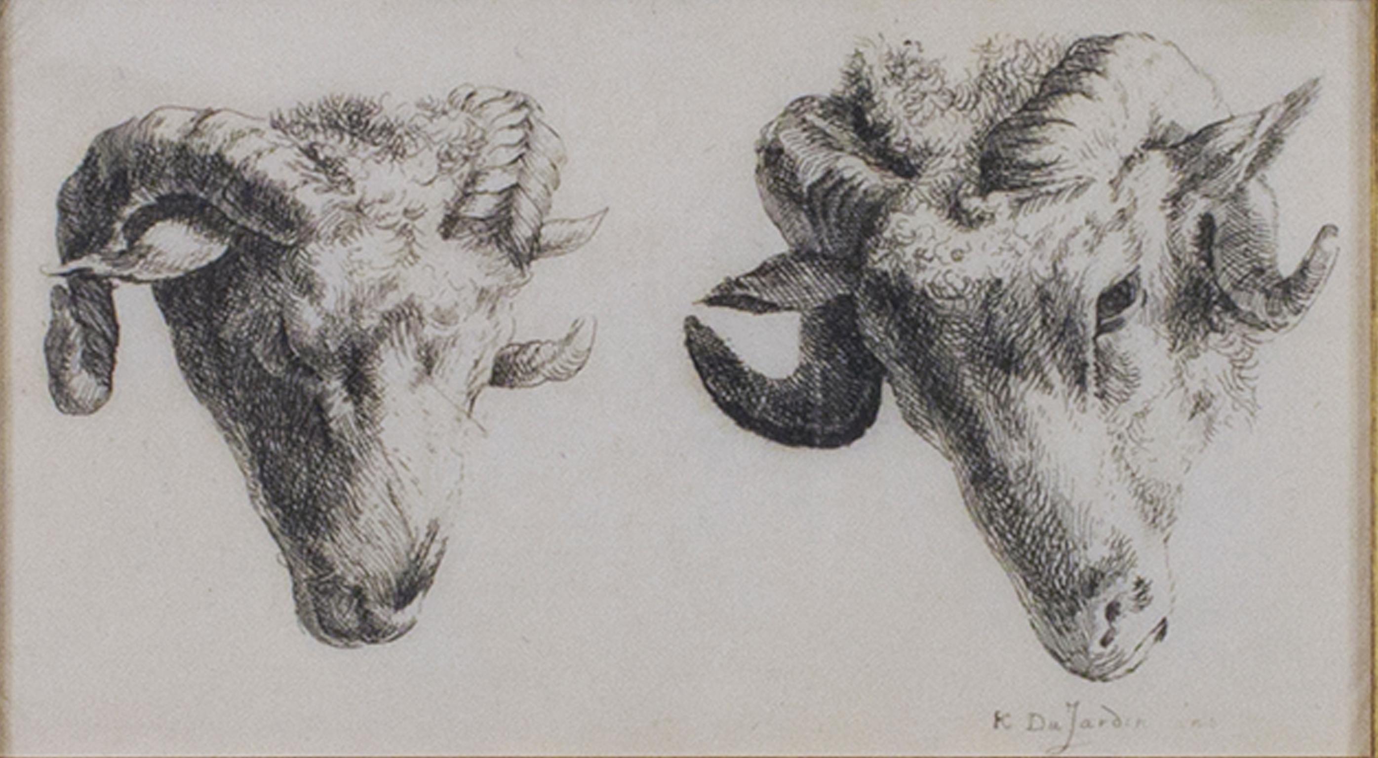 "Two Rams Looking Down, One Quarter View One Straight Ahead," by Karel Dujardin