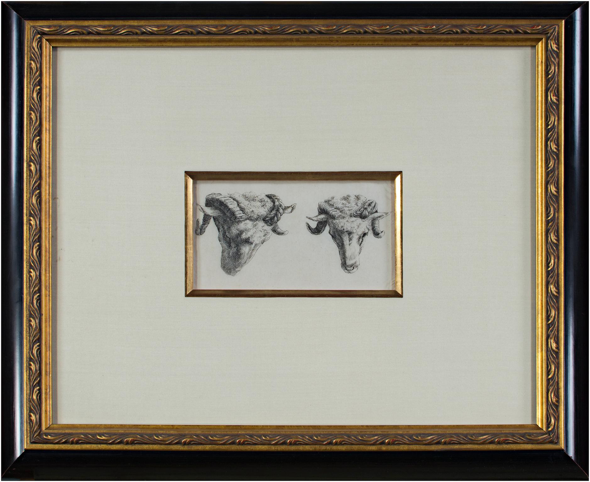 « Two Rams Looking Down & To Their Left » (Deux béliers regardant vers le bas et vers la gauche), gravure de Karel DuJardin - Print de Karel Dujardin