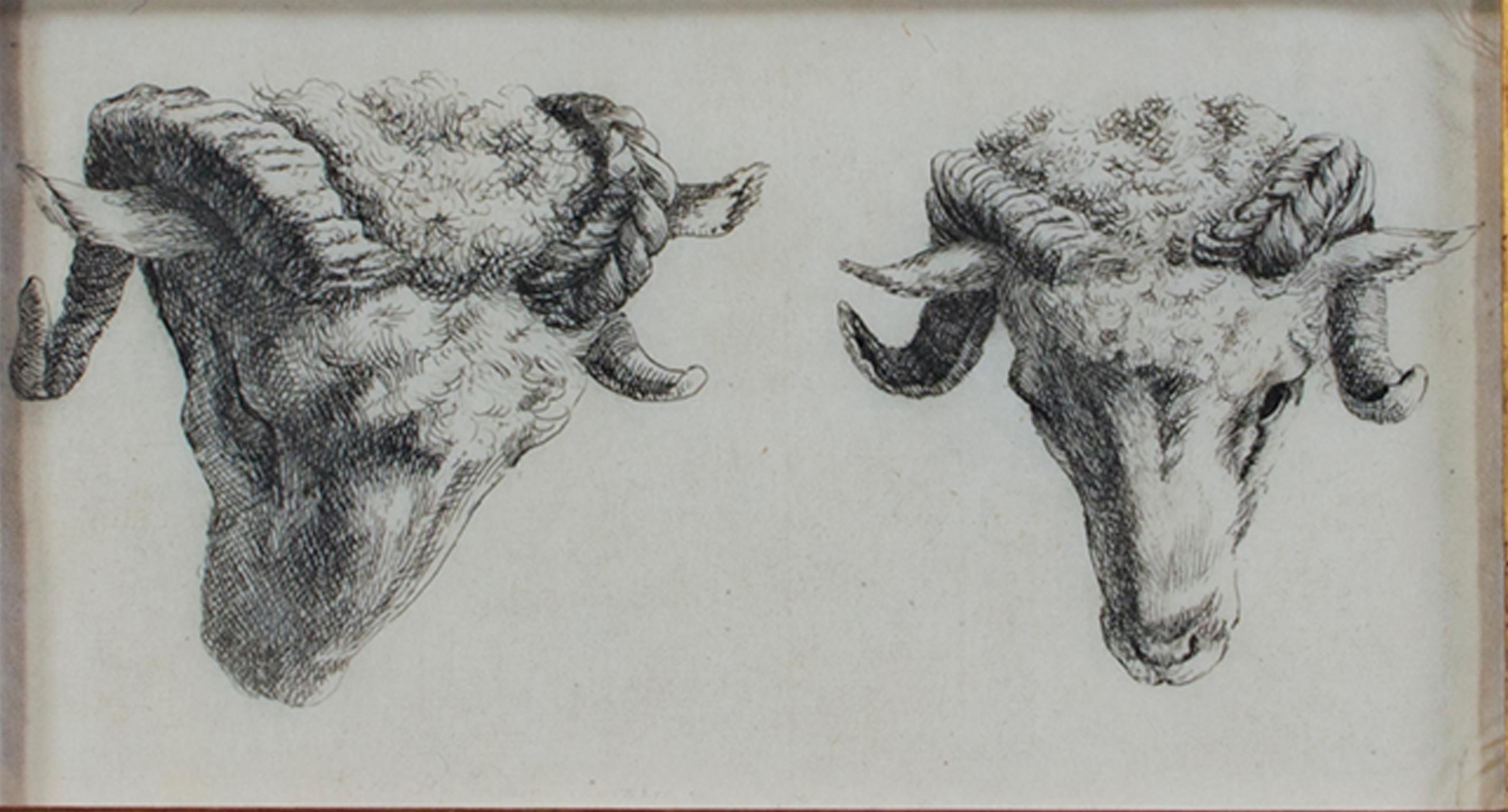 "Two Rams Looking Down & To Their Left," Etching by Karel DuJardin