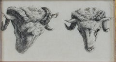 aguafuerte del siglo xvii grabado animal boceto carnero oveja blanco y negro firmado