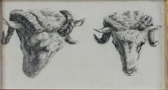 Used "Two Rams Looking Down & To Their Left, " Etching by Karel DuJardin