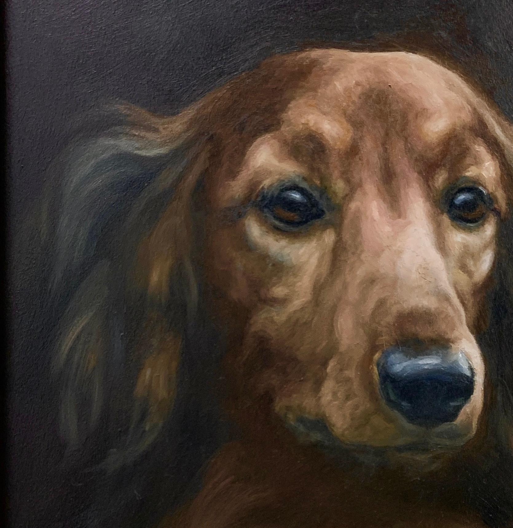 Elegant Long Hair Dachshund Captures Your Heart with His Beauty and Gentle Soul - Painting by Karen Bendersky