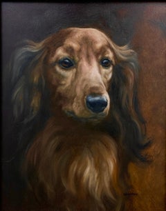 Elegant Long Hair Dachshund Captures Your Heart with His Beauty and Gentle Soul