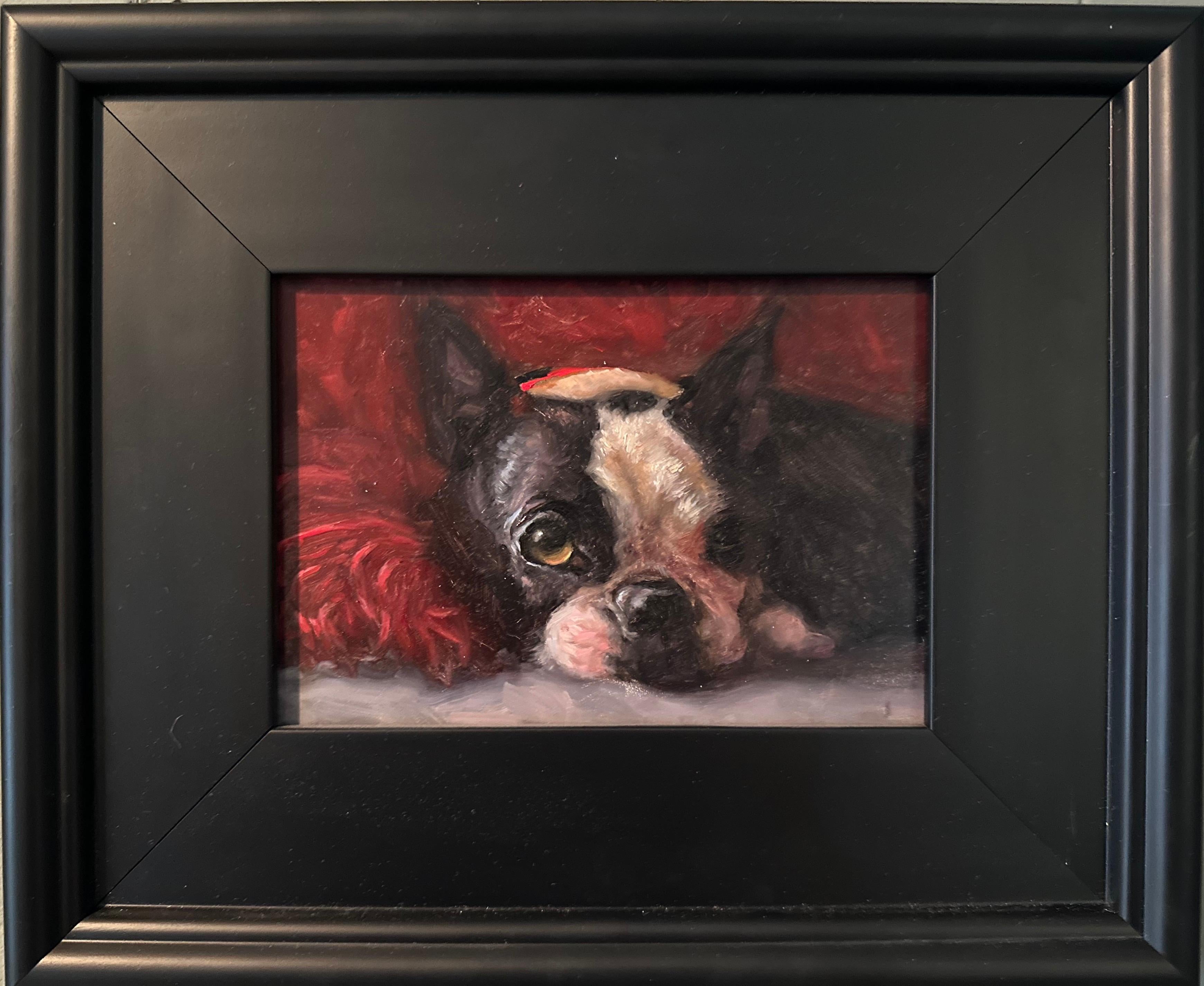 Quadro romantico di un cane Boston Terrier che fa capolino sotto un ricco piumone rosso - Painting di Karen Bendersky