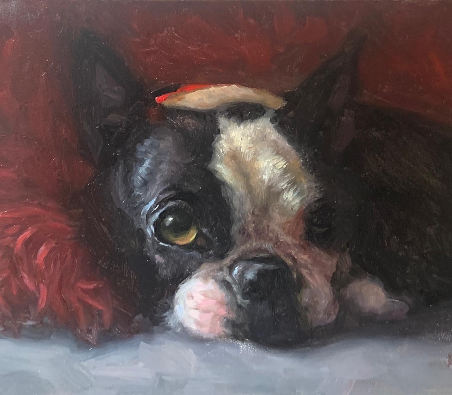 Quadro romantico di un cane Boston Terrier che fa capolino sotto un ricco piumone rosso - Painting Romantico di Karen Bendersky