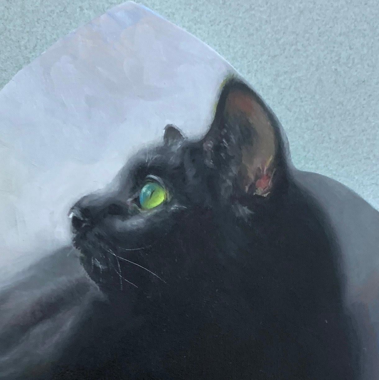 Gatto che riposa tranquillo in un ambiente sognante e nebuloso circondato da graziosi pannelli floreali - Painting Realismo di Karen Bendersky