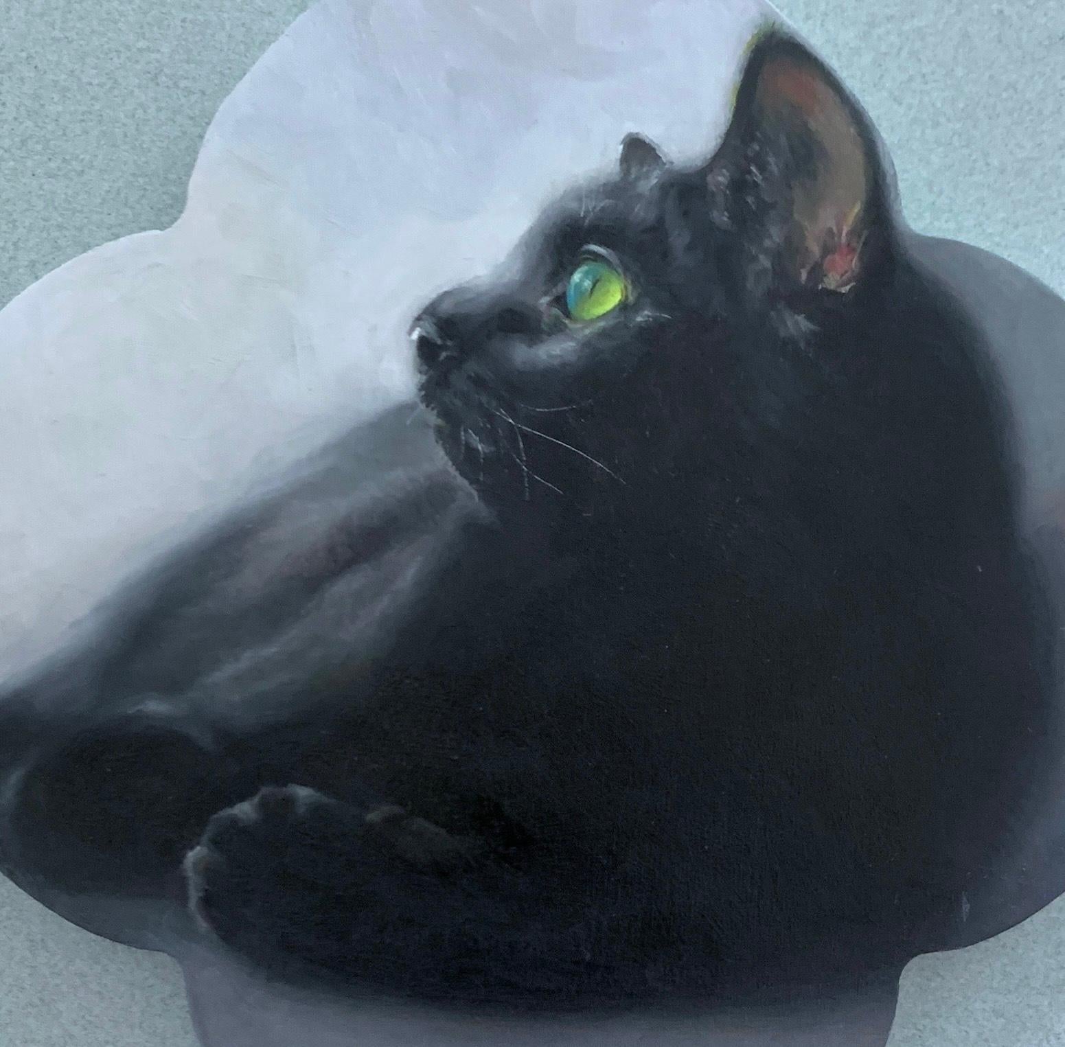 Gatto che riposa tranquillo in un ambiente sognante e nebuloso circondato da graziosi pannelli floreali - Portrait Painting Blu di Karen Bendersky