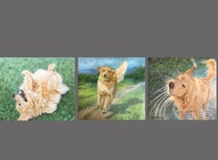 Golden Retriever incorniciati nel trittico Bottoms Up, BYOB e Shaken Not Stirred