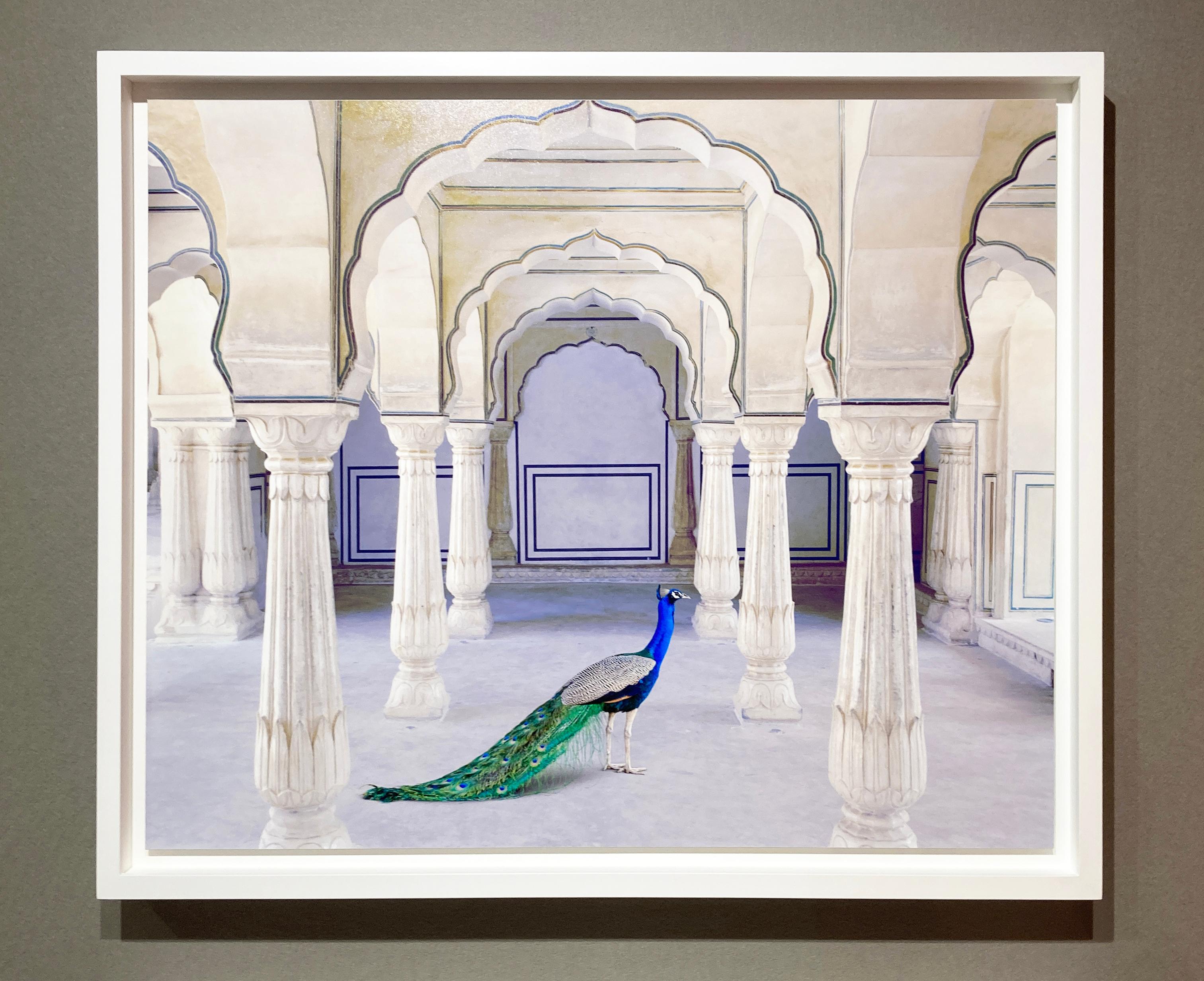 A Moment of Solitude, Amer Fort, Amer - Photograph by Karen Knorr