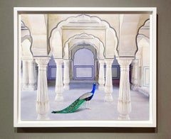 Ein Moment der Einsamkeit, Amer Fort, Amer