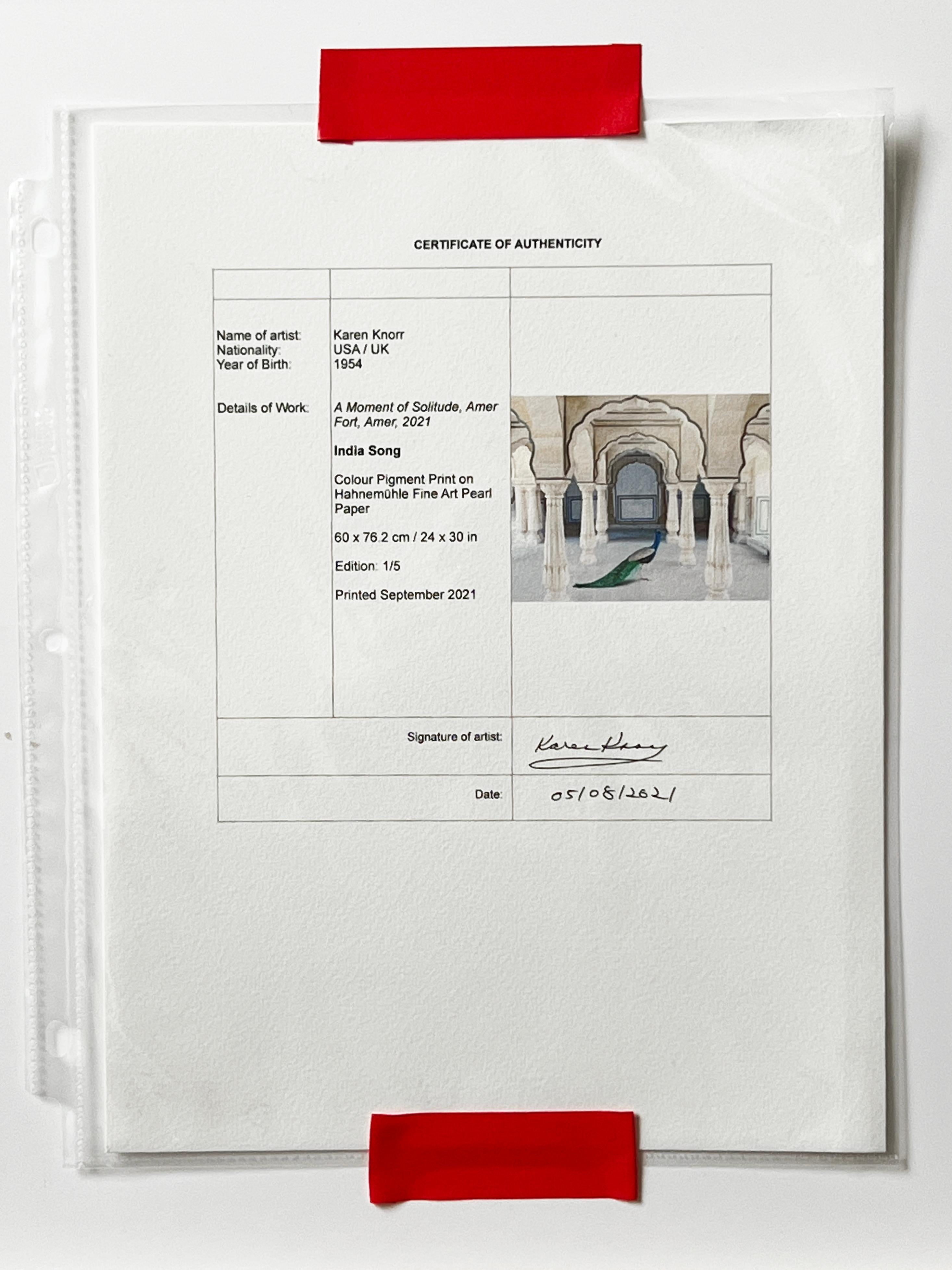 Ein Moment der Einsamkeit, Amer Fort, Amer im Angebot 1