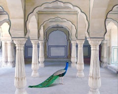 A Moment of Solitude, Amer Fort, Amer
