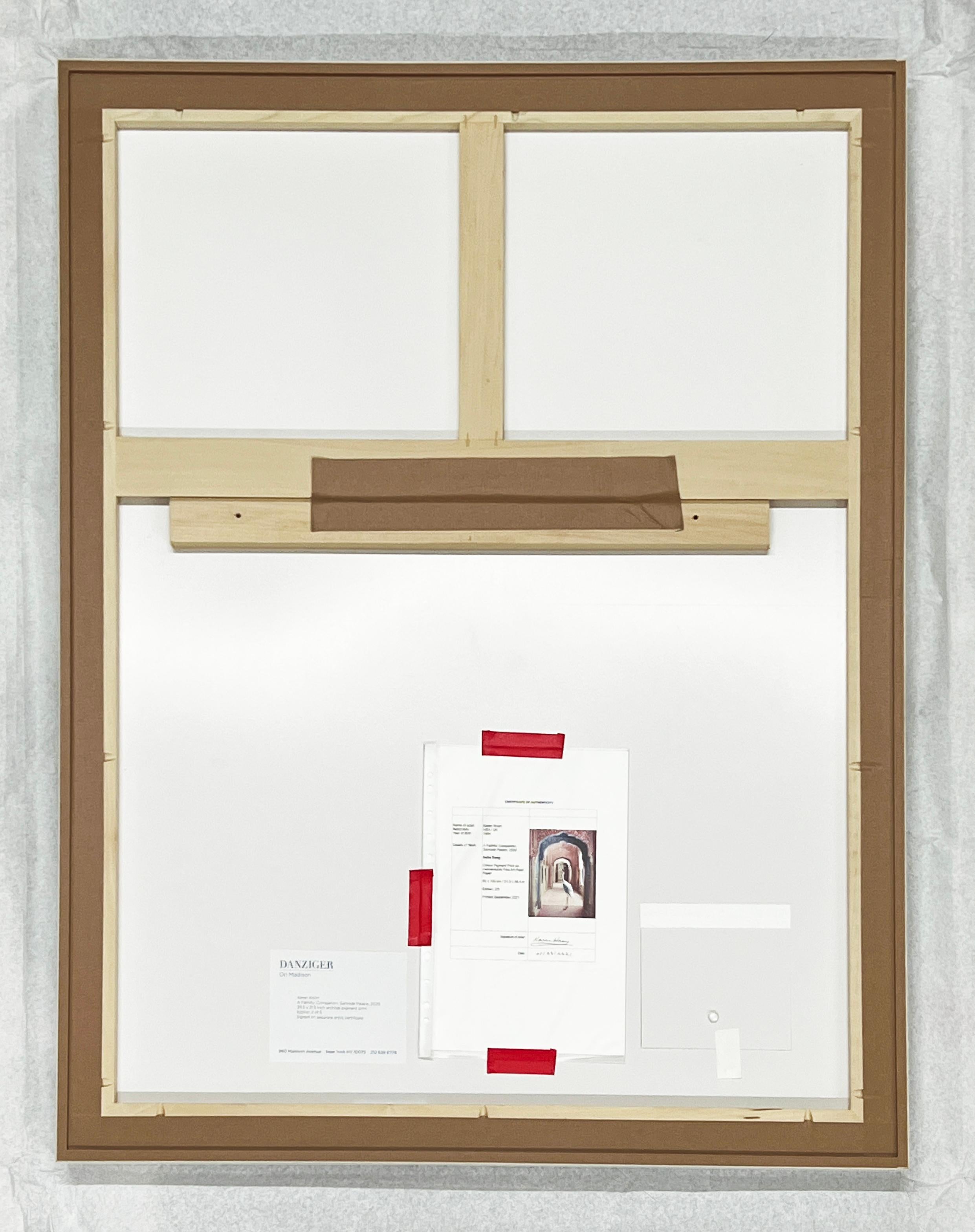 Compagno fedele, Palazzo Samode, 2020 in vendita 2