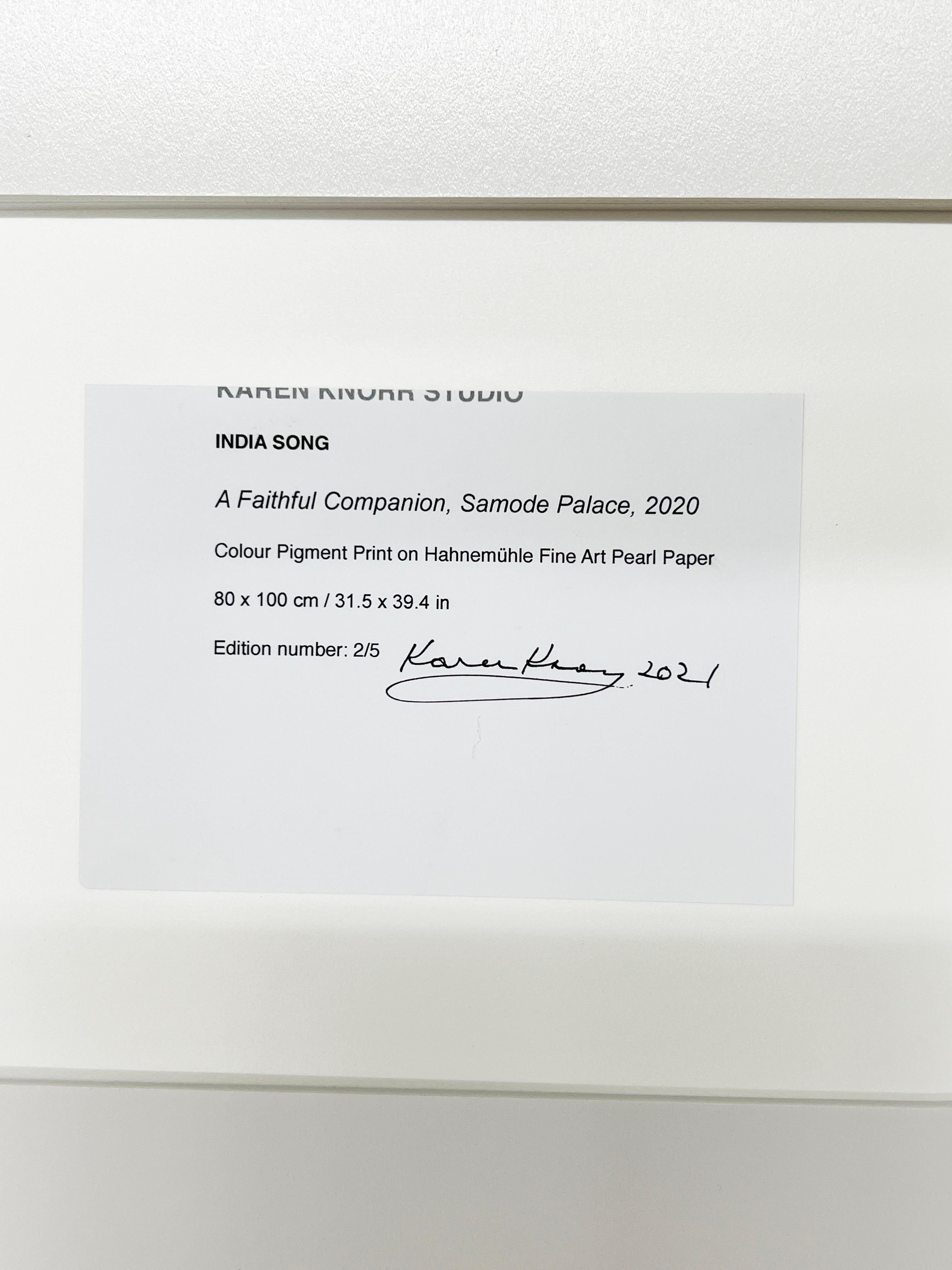 Companion fidèle, Palais de Samode, 2020 en vente 2