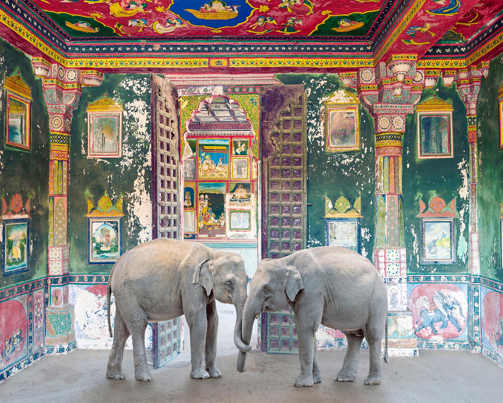 Color Photograph Karen Knorr - Friends in Need, Juna Mahal, palais de Dungarpur, 2020